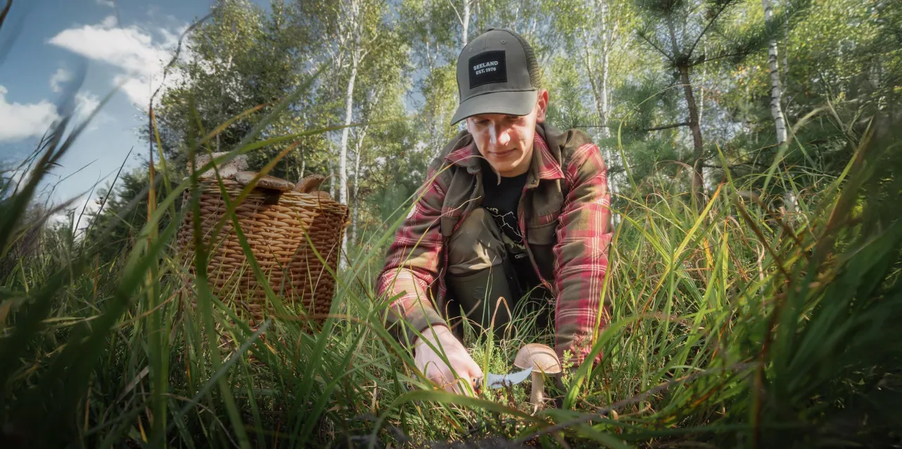 Ekwipunek grzybiarza