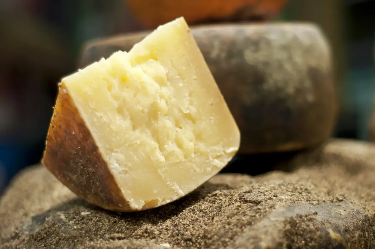 pecorino romano vs parmezan