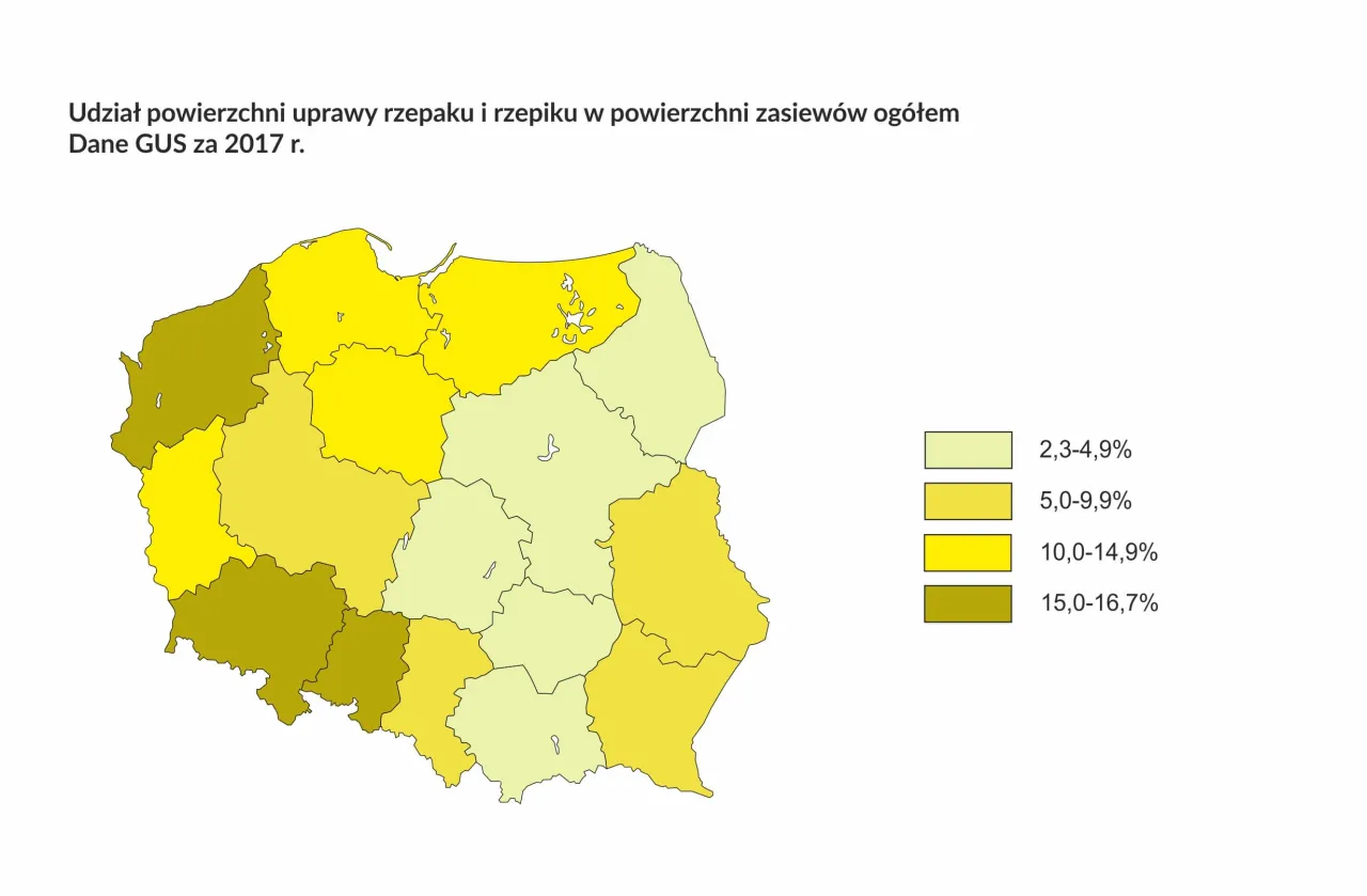 Mapa upraw rzepaku w Polsce województwa