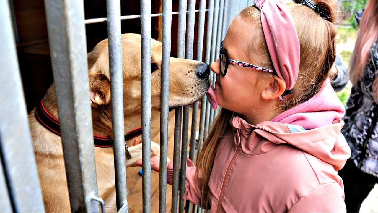 pies ze schroniska z dziećmi