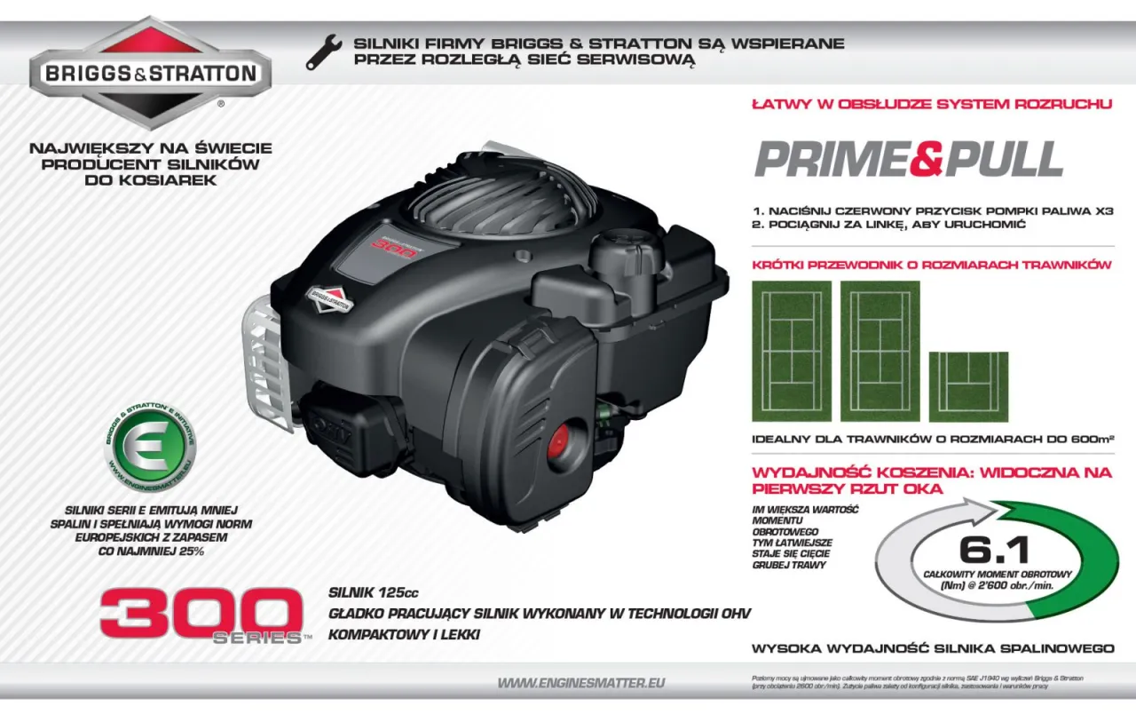 Silnik Briggs & Stratton przekr&oacute;j