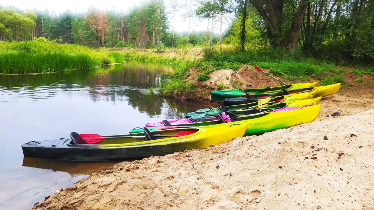 malownicza rzeka Liswarta kajaki