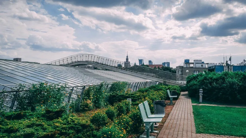 Ogród na dachu BUW widok