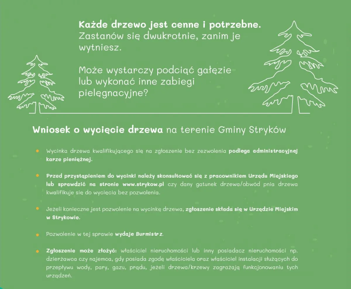 Zdjęcie Czy potrzebne jest zezwolenie na wycięcie drzewa? Sprawdź zasady.