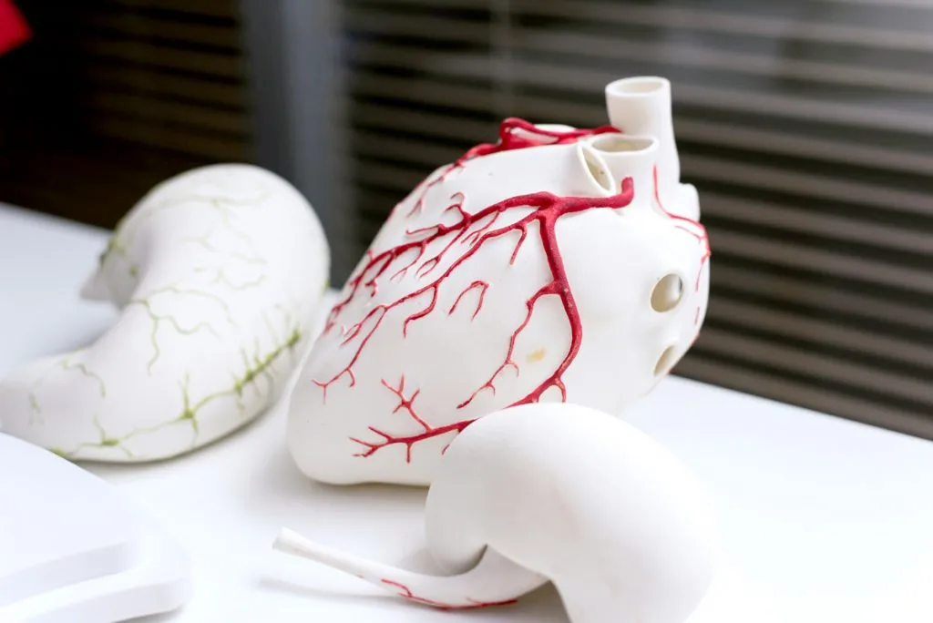 Zdjęcie Co można robić na drukarce 3D? Niezwykłe zastosowania i pomysły