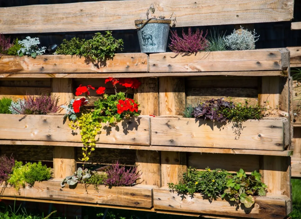 Zdjęcie Jakie kwiaty do kwietnika z palet? Idealne rośliny na każdy balkon