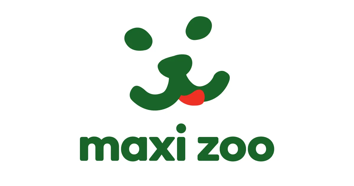 Zdjęcie La meilleure ceinture footing chien pour des courses confortables et sûres
