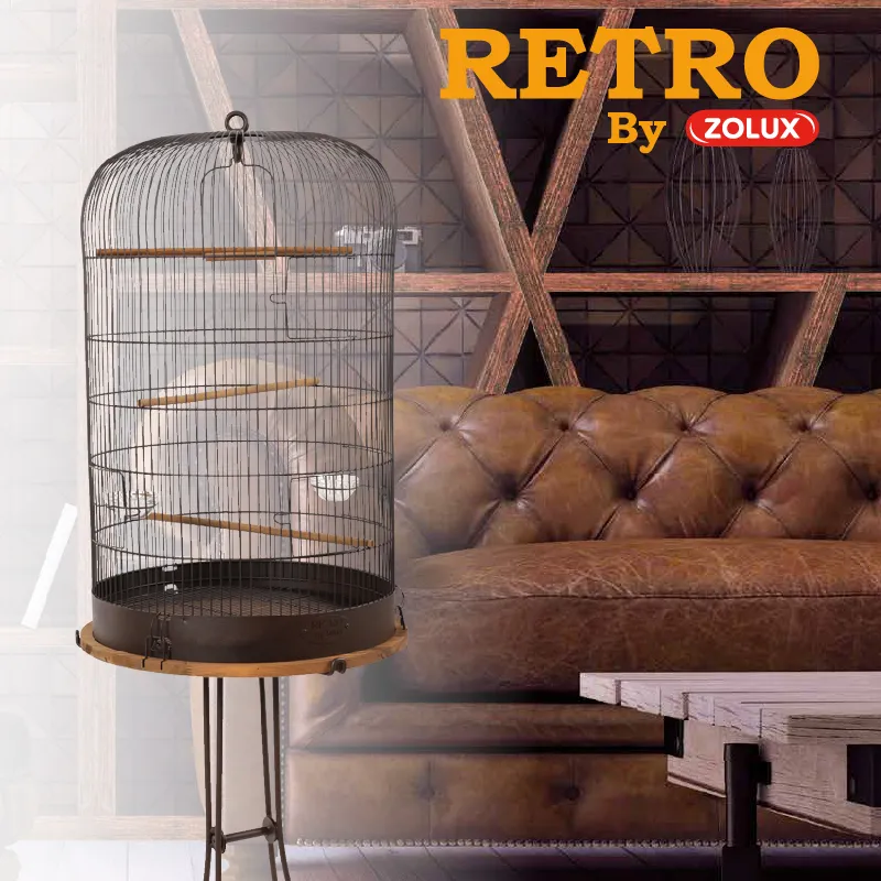 Zdjęcie Stylowe klatki retro dla zwierząt: elegancja i bezpieczeństwo w jednym