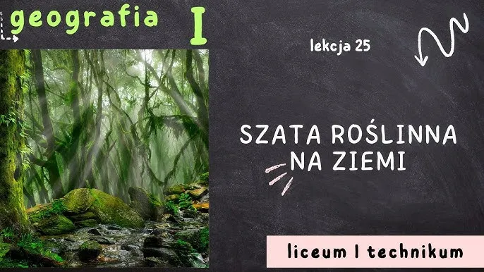 Zdjęcie Co to jest szata roślinna i dlaczego jest kluczowa dla ekosystemu?
