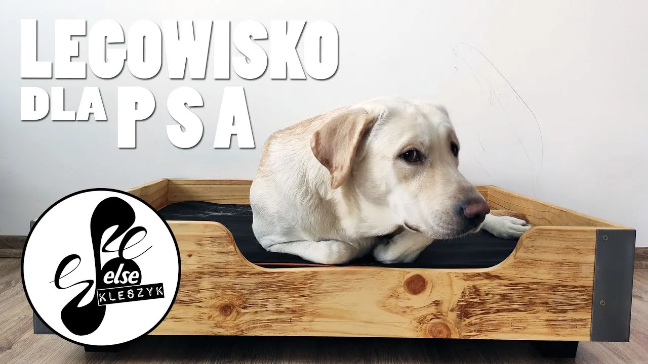 Zdjęcie Jak zrobić drewniane legowisko dla psa - proste kroki i porady