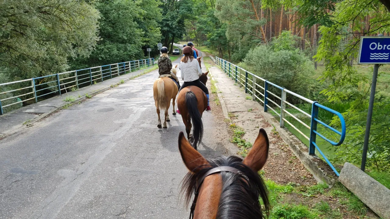 Zdjęcie Czy można jeździć konno po chodniku? Sprawdź przepisy i konsekwencje