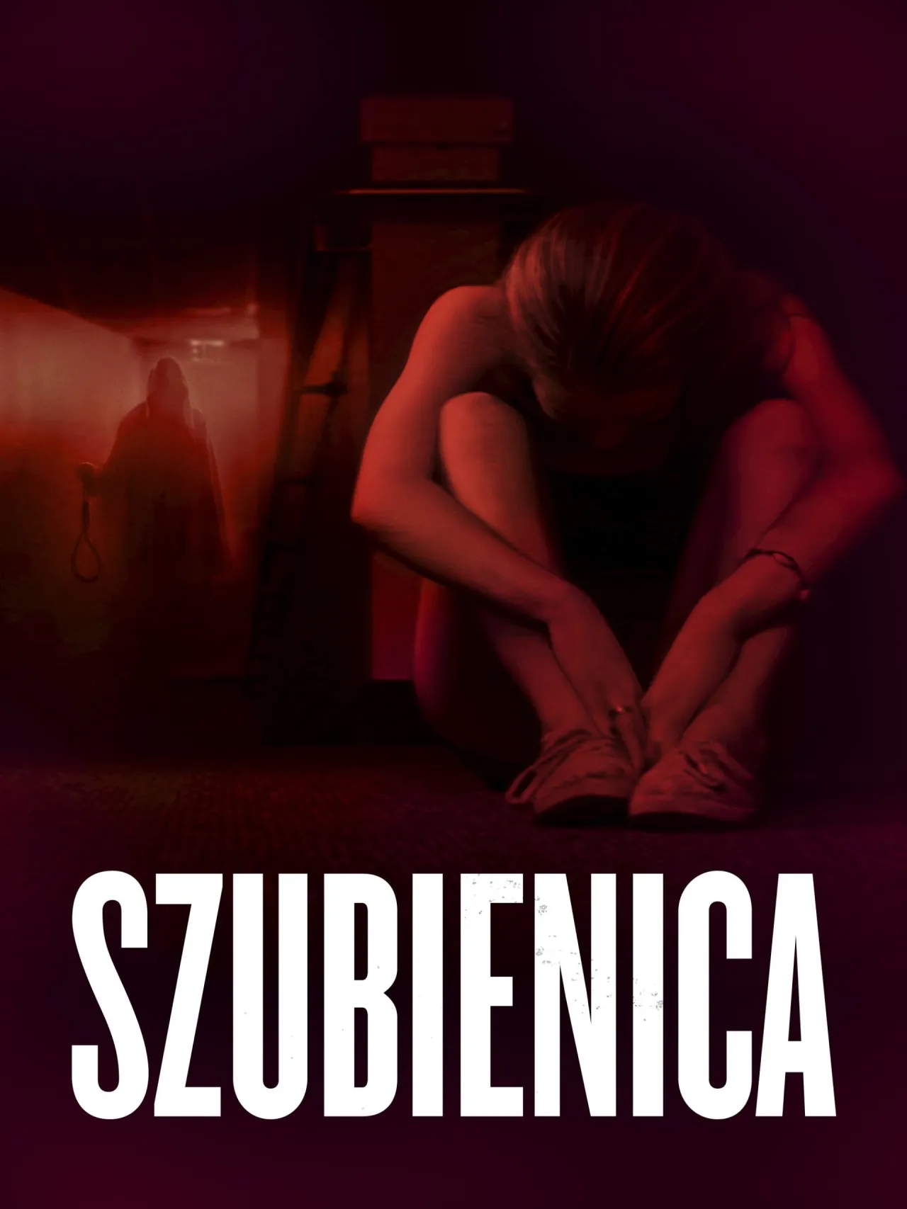 Zdjęcie Szubienica horror - czy to naprawdę film, który przeraża?