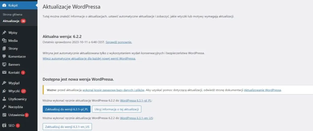 Zdjęcie Jak zaktualizować wtyczki w WordPress i uniknąć problemów z działaniem