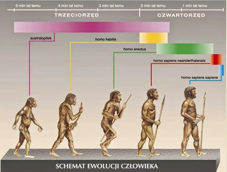 Zdjęcie Ewolucja science fiction: od początków do przyszłości gatunku