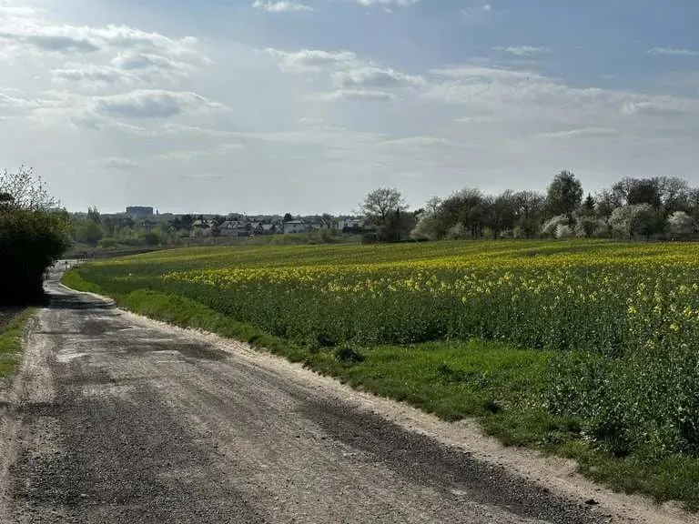 Zdjęcie Trasy rowerowe Lublin – odkryj najpiękniejsze szlaki i trasy