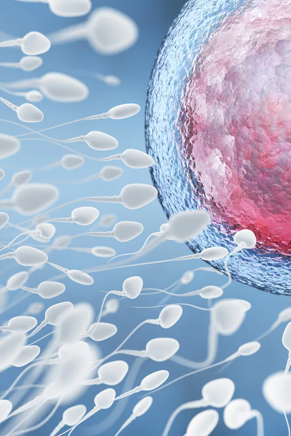 Zdjęcie Czy inseminacja to grzech? Zrozum moralne dylematy i kontrowersje