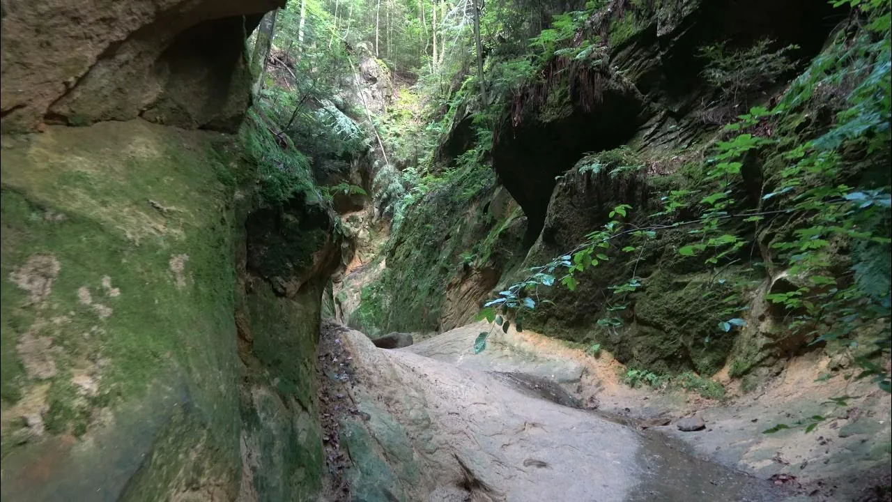 Zdjęcie Czy odważysz się wejść do Wąwozu Czarownic w Ciężkowicach?