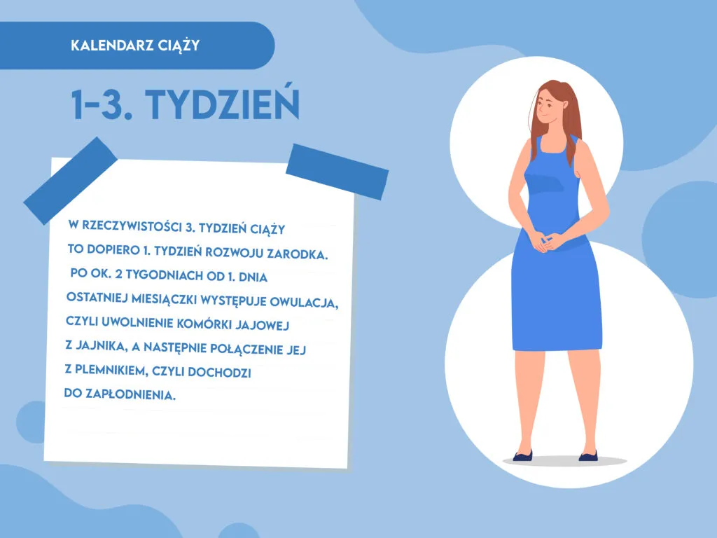 Zdjęcie Jak liczyć tygodnie ciąży, aby uniknąć niepewności i błędów