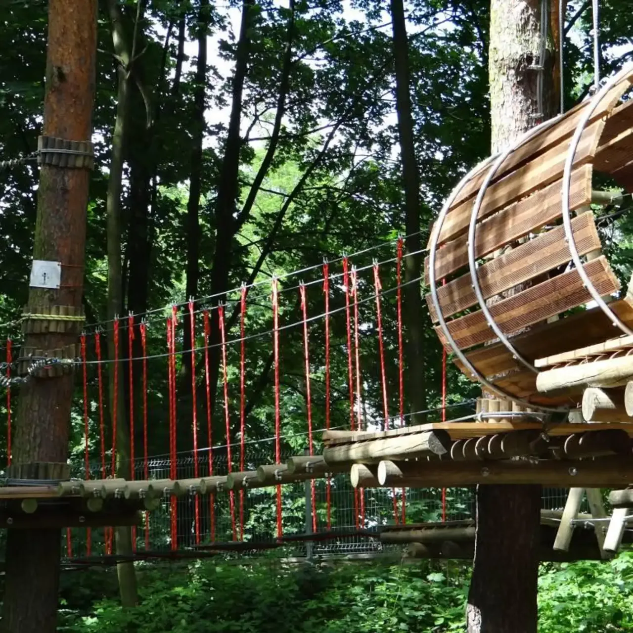 Zdjęcie Park linowy Kalisz - atrakcje, godziny otwarcia i porady dla odwiedzających