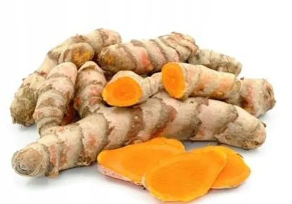 kurkuma świeży korzeń i proszek