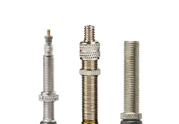 verschiedene fahrradventile sclaverand schrader dunlop