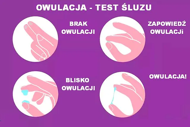 różne rodzaje śluzu szyjkowego w cyklu menstruacyjnym