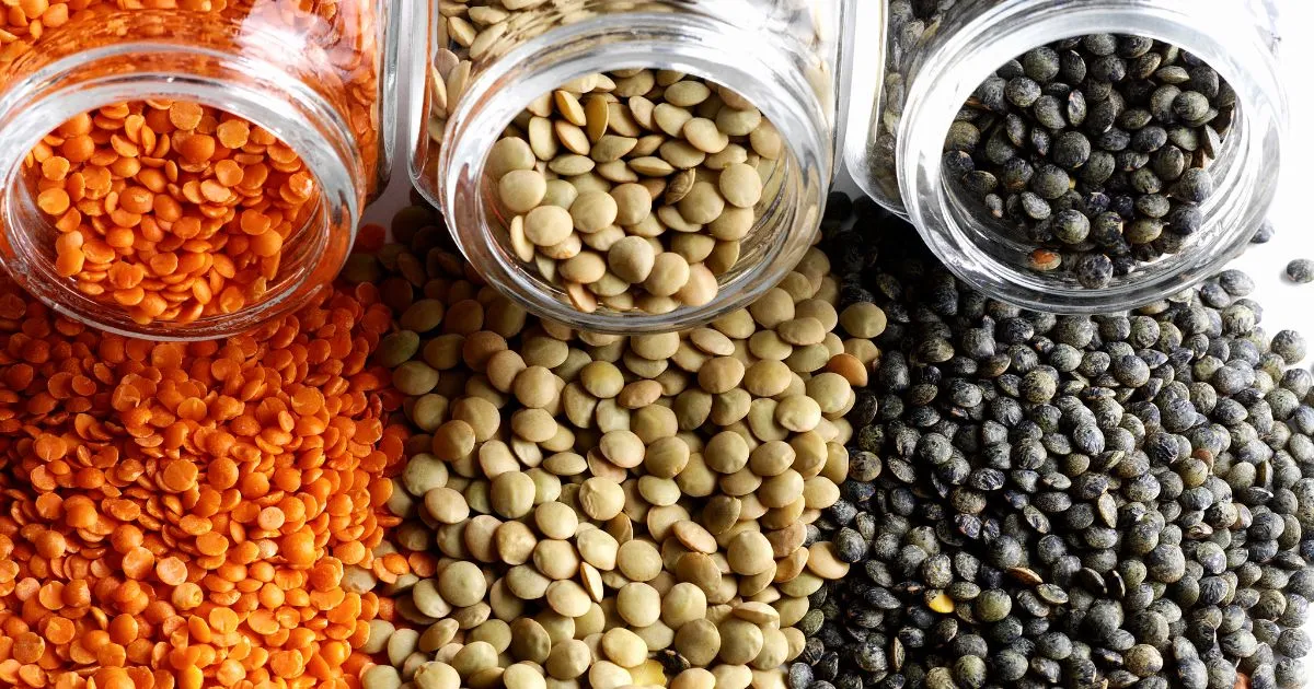 różne rodzaje soczewicy i ciecierzycy