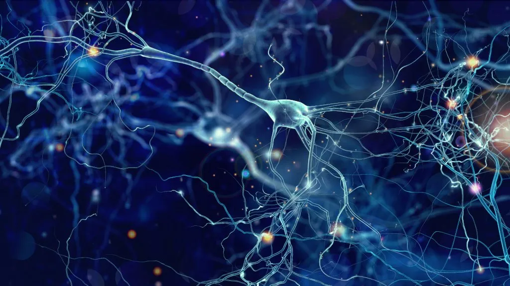 Zdjęcie Jak bada neurolog – co powinieneś wiedzieć przed wizytą u specjalisty