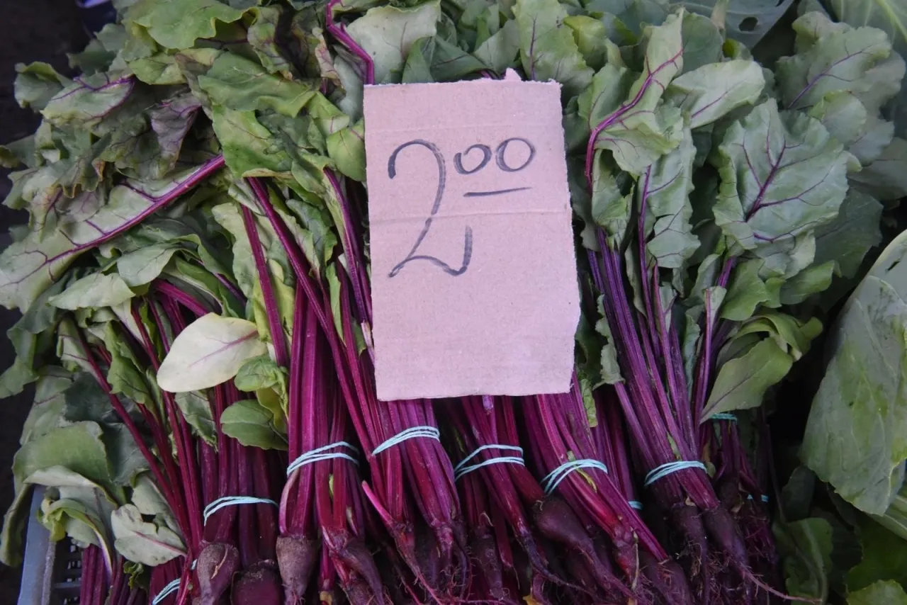 Botwinka i burak ćwikłowy por&oacute;wnanie