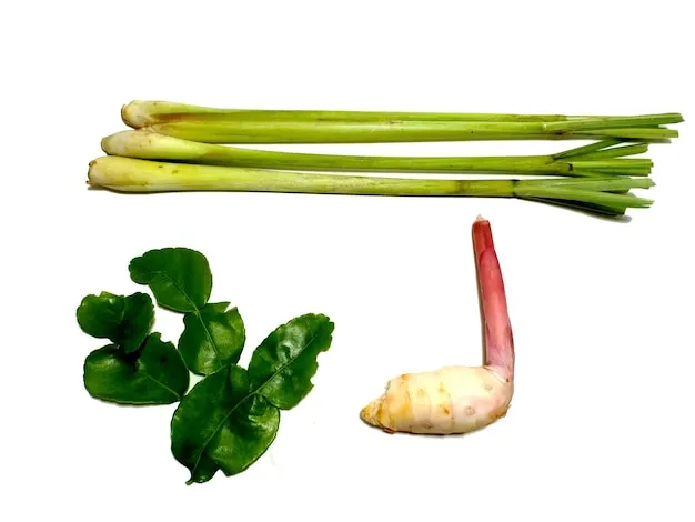 Tom Yum Suppe Zutaten wie Zitronengras Galgant Kaffir-Limettenbl&auml;tter