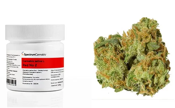 medyczna marihuana koszt apteka