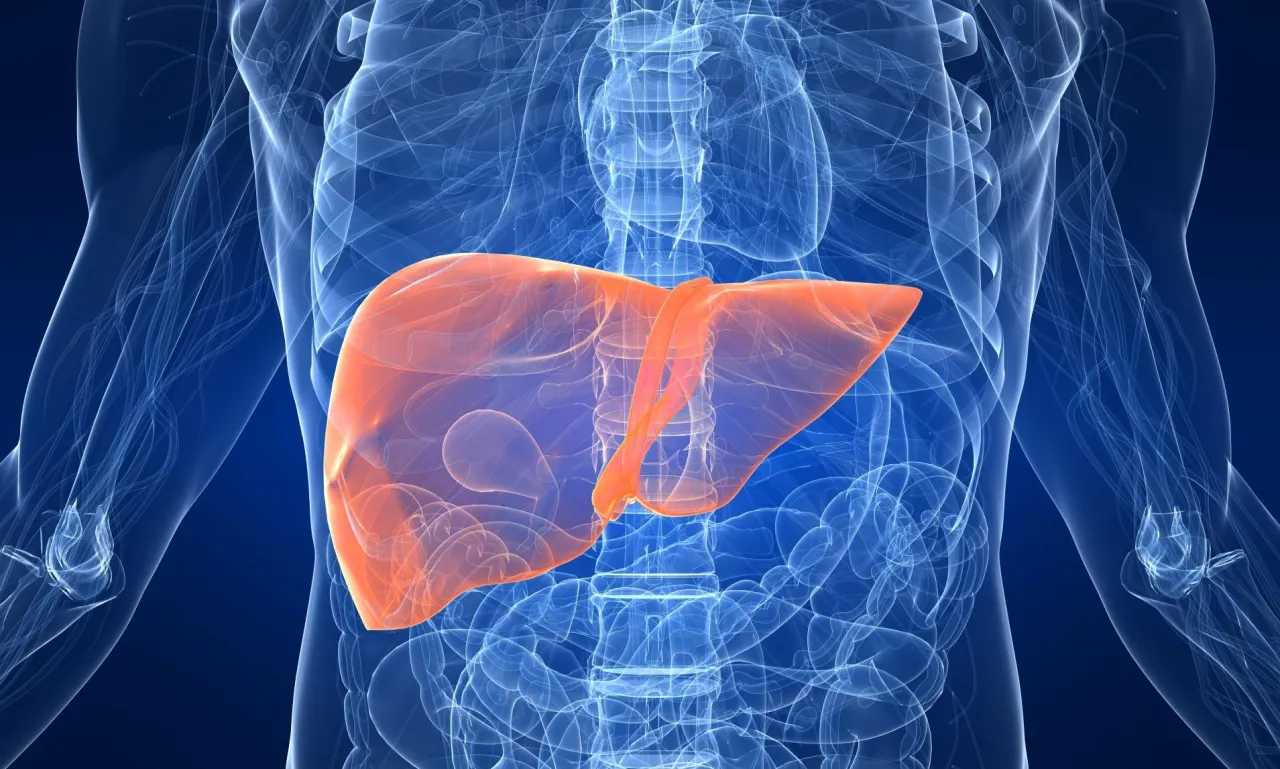 uszkodzenie wątroby schemat
