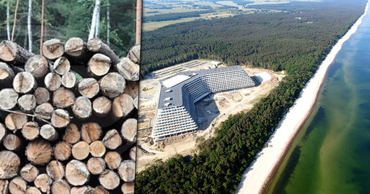 Wycinka lasu pod Hotel Gołębiewski Pobierowo