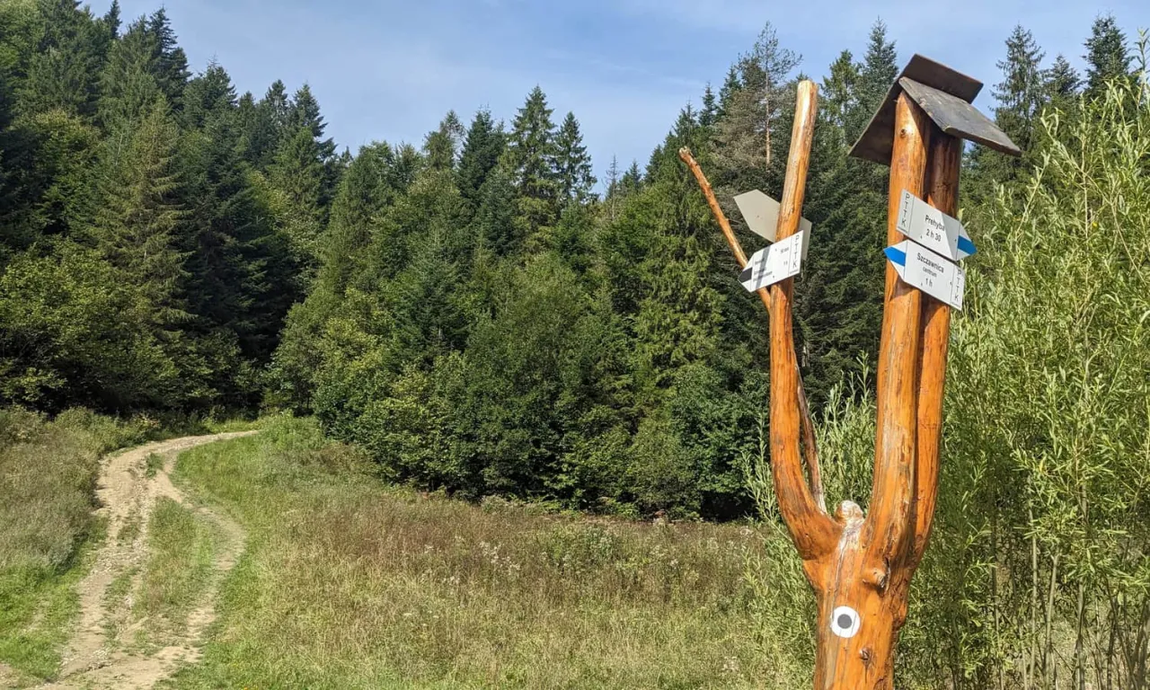 Mapa szlak&oacute;w turystycznych Szczawnica Bereśnik