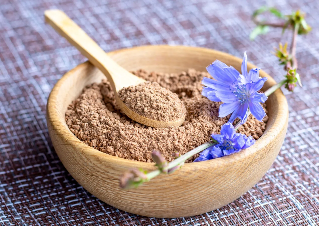 Inulina mechanizm działania