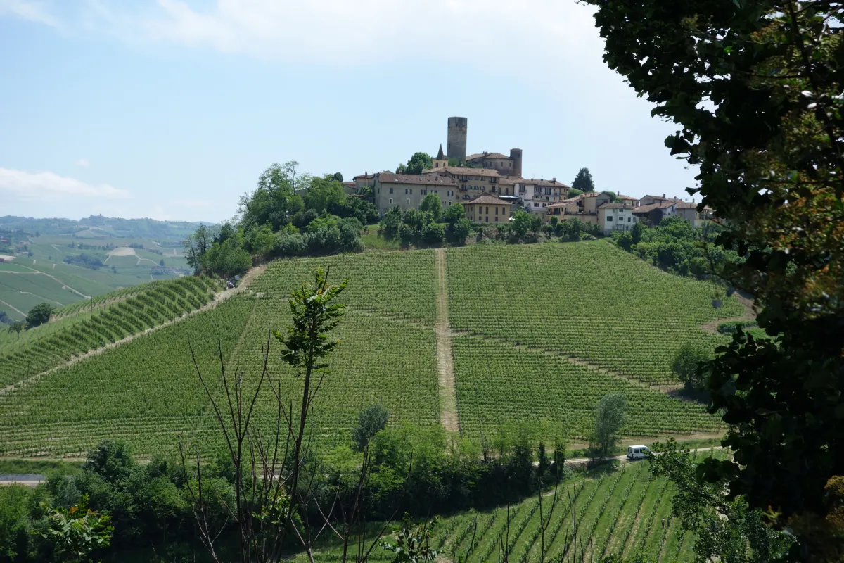 Agroturystyka we Włoszech, winnica