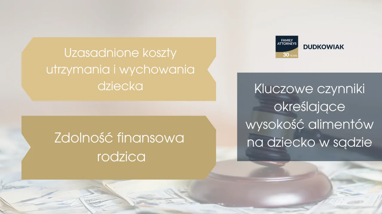 czynniki wpływające na koszt adwokata alimenty