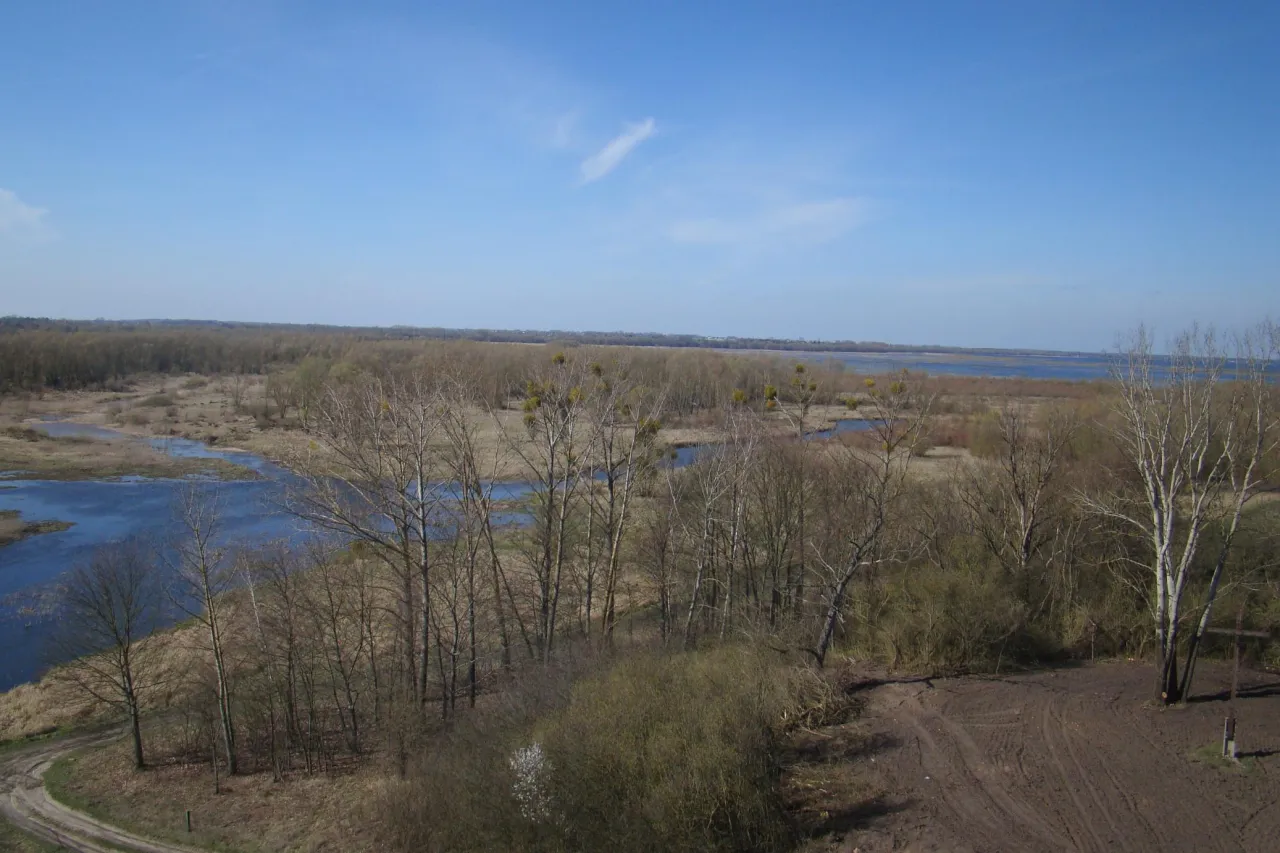 Rozległy krajobraz rezerwatu przyrody Jeziorsko z wodami, drzewami i niebem.