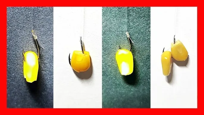 Jak założyć kukurydzę na haczyk krok po kroku