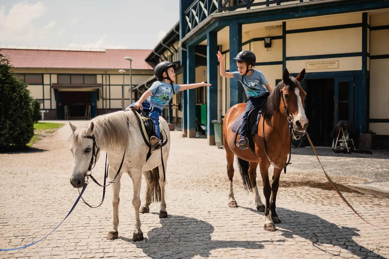 Zdjęcie Najlepsze stadniny we Wrocławiu: jazda konna i opieka nad końmi
