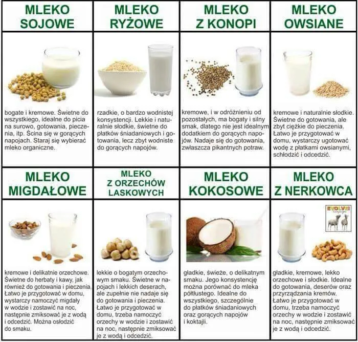 różne rodzaje mleka roślinnego do kawy porównanie