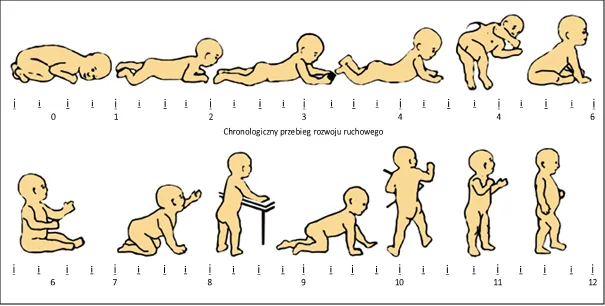niemowlę osiągające kamień milowy rozwój ruchowy