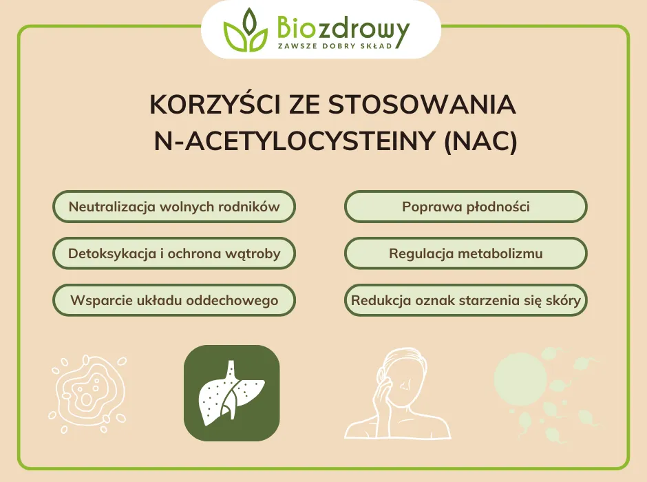 NAC korzyści zdrowotne infografika