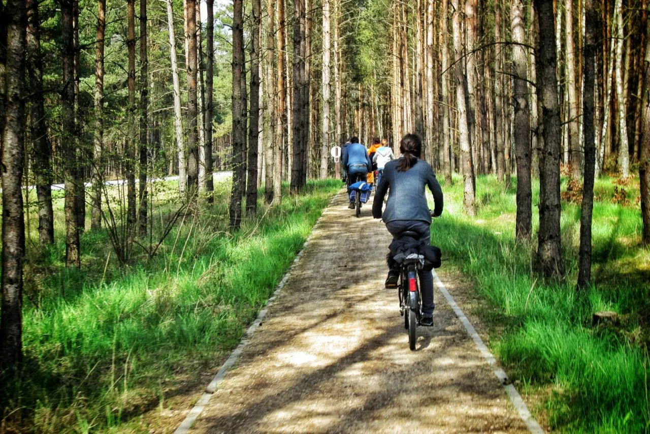 Szlaki piesze rowerowe Bory Tucholskie Kaszuby