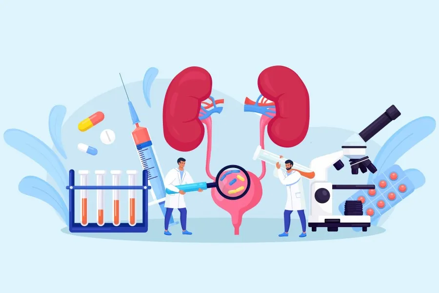 objawy chorób układu moczowego ilustracja
