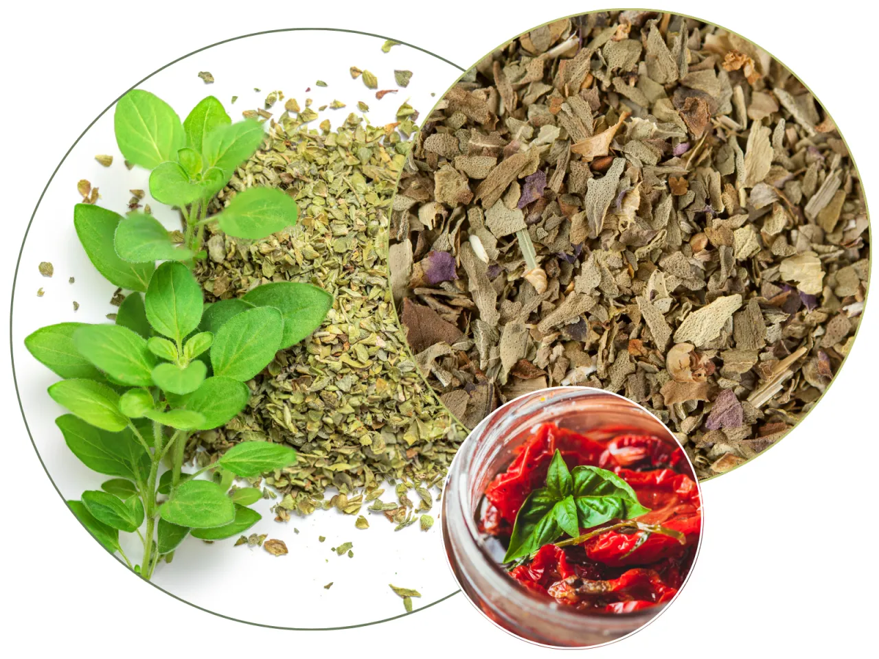 Świeża bazylia, suszona bazylia i suszone pomidory w słoiku. Jak najlepiej przechowywać bazylię: mrozić czy suszyć?