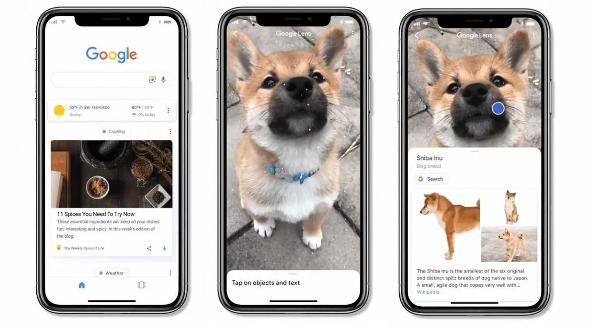 Google Lens examples