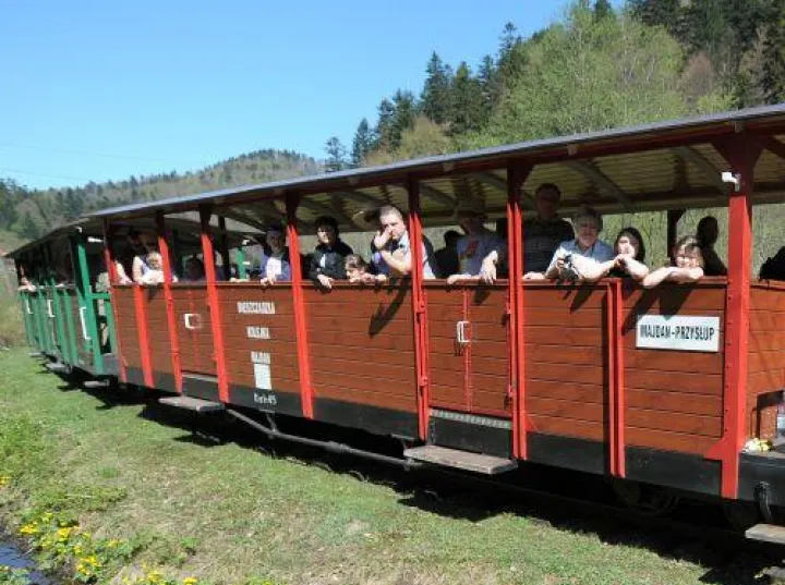 Bieszczadzka Kolejka Leśna dzieci