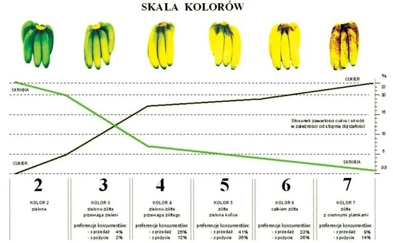 banany różny stopień dojrzałości