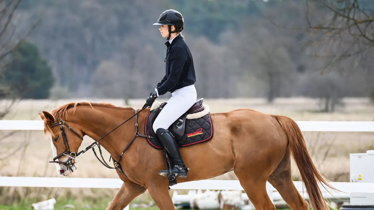 Jeździec wybierający ścieżkę